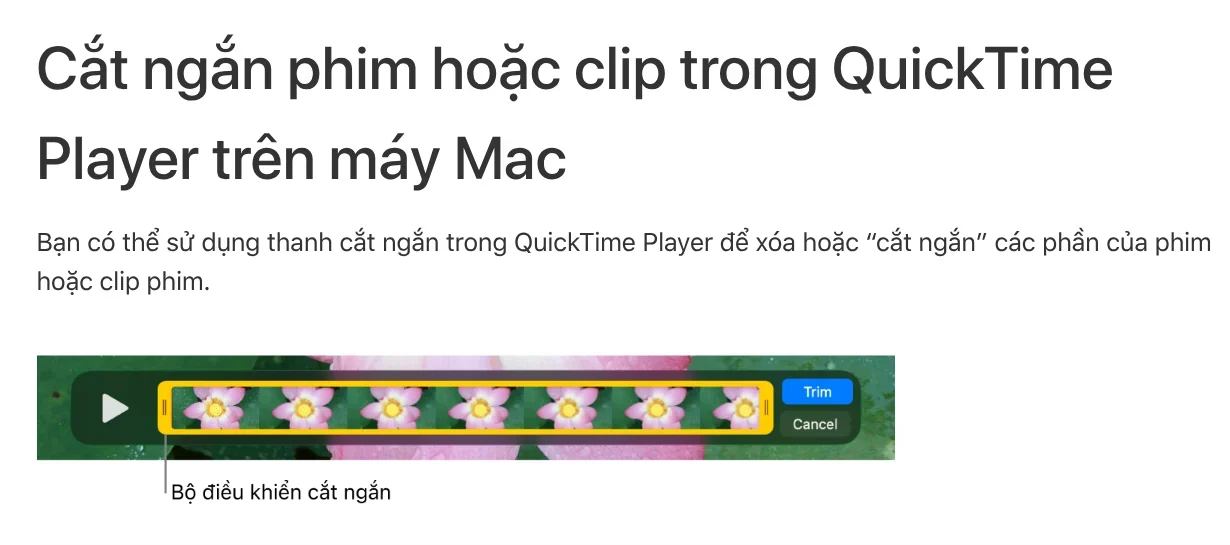 Guide to trimming a movie in QuickTime Player on Mac: choose Edit, Trim, then drag the yellow handles
