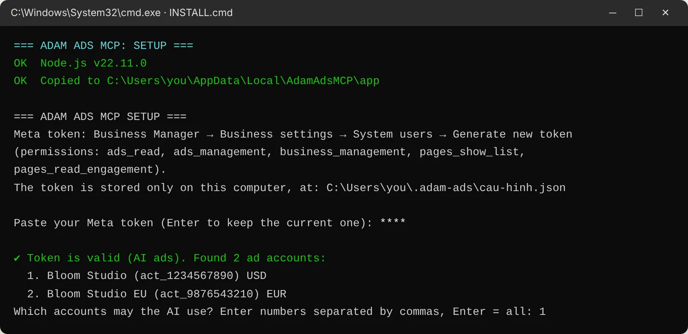Setup window: token valid, ad accounts listed